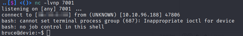 Reverse Shell